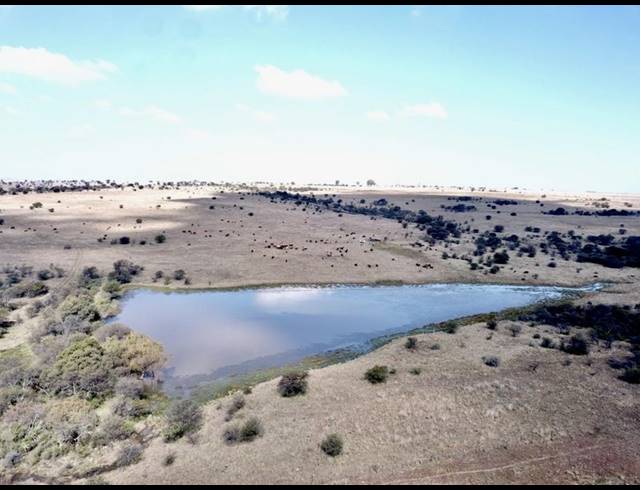 FARM FOR SALE IN HEILBRON